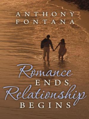 Cover of the book Romance Ends, Relationship Begins by Alfred Awortwe - Adams