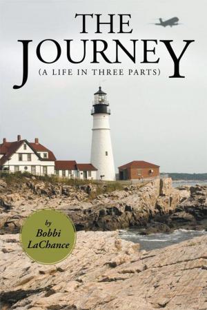 Cover of the book The Journey by Sylvia Gilfillian