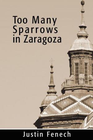 Cover of the book Too Many Sparrows in Zaragoza by Robert Stanelle