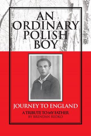 Cover of the book An Ordinary Polish Boy by Christina Godley