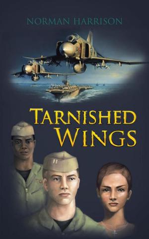 Cover of the book Tarnished Wings by Moitsadi MoetiPh.D.
