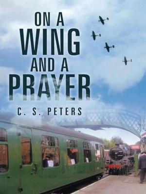 Cover of the book On a Wing and a Prayer by Joyce Wigglesworth