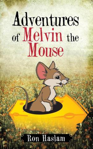 bigCover of the book Adventures of Melvin the Mouse by 