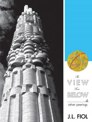 Cover of the book The View from Below by Benjamin Maira
