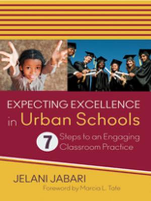 Cover of the book Expecting Excellence in Urban Schools by Dr. Mary C. (Carmel) Ruffolo, Dr. Brian E. Perron, Elizabeth Harbeck Voshel