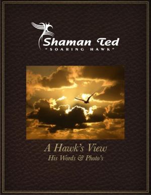 Cover of the book A Hawk's View by Debbie Eberly