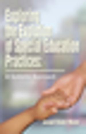 bigCover of the book Exploring the Evolution of Special Education Practices: a Systems Approach by 
