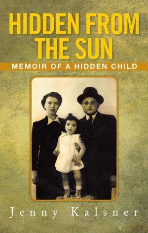 Cover of the book Hidden from the Sun by AL FERBER
