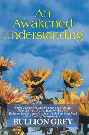 Cover of the book An Awakened Understanding by Elisabet Stacy-Hurley