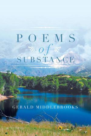 bigCover of the book Poems of Substance by 