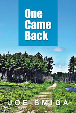 Cover of the book One Came Back by Victor Chen