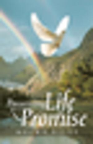 Cover of the book Possessing Life Promise by Dr. Chris Akaeze, Dr. Nana Akaeze