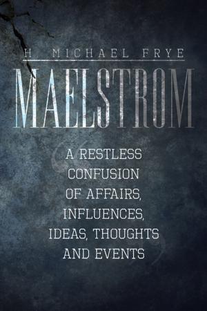 Cover of the book Maelstrom by C.G. Schott