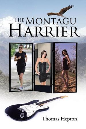 Cover of the book The Montagu Harrier by Winston Forde