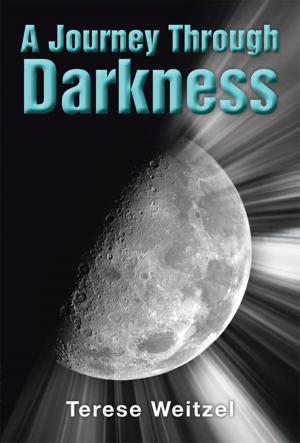 Cover of the book A Journey Through Darkness by Gunter Weis