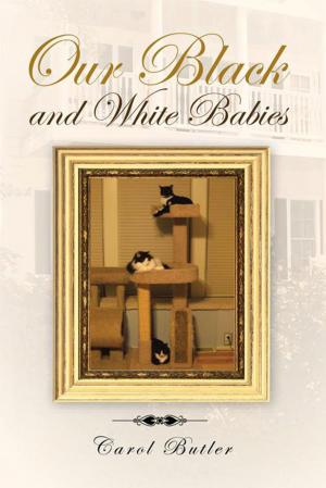Cover of the book Our Black and White Babies by Michael Stringfellow