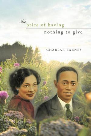 Cover of the book The Price of Having Nothing to Give by Greg Ruppert