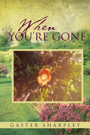 Cover of the book When You’Re Gone by Iram Farrukh