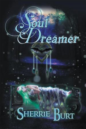 bigCover of the book Soul Dreamer by 