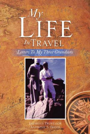 Book cover of My Life in Travel