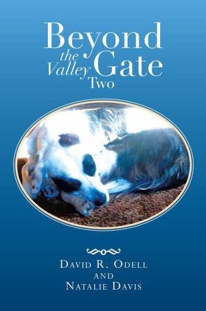 Cover of the book Beyond the Valley Gate Two by Daniel Habib