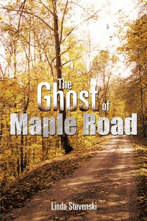 bigCover of the book The Ghost of Maple Road by 