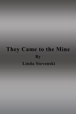 Cover of the book They Came to the Mine by Lucy Smiles
