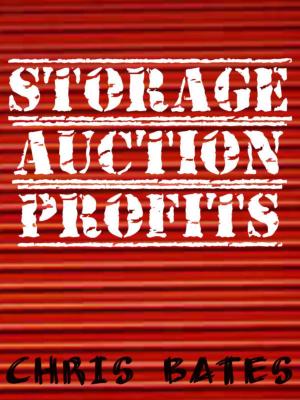 Cover of the book Storage Auction Profits (Beginner's guide to success for winning storage unit auctions) by James Bell