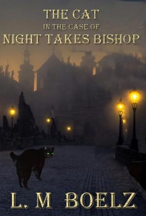 Cover of the book The Cat in the Case of Night Takes Bishop by L M Boelz