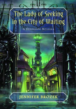 Cover of the book The Lady of Seeking in The City of Waiting by Kirsten van Gelder, Frank Chelsey
