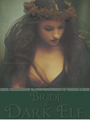 Book cover of Bride of the Dark Elf - In the Arms of the Dark Elf #3 (a paranormal romance)