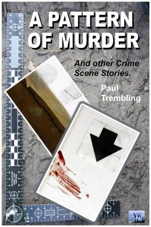Cover of the book A Pattern of Murder by S.A. Hussey