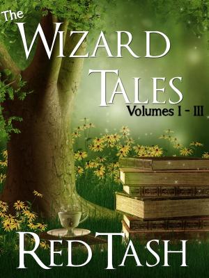 Cover of the book The Wizard Tales Vol I-III by Kasi Blake
