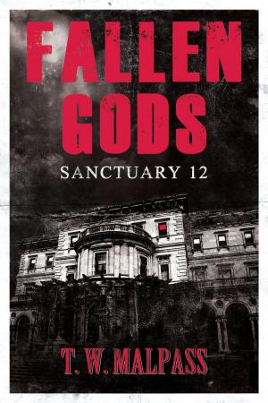 Book cover of Sanctuary 12