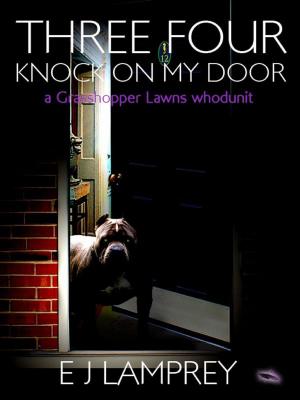 Cover of the book Three Four Knock On My Door by Caron Allan