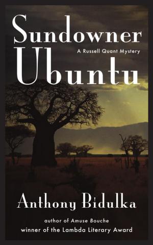 Cover of the book Sundowner Ubuntu by Anthony Bidulka