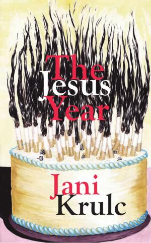 Cover of the book The Jesus Year by Liz Bugg