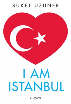 Cover of the book I Am Istanbul by S D. Chrostowska