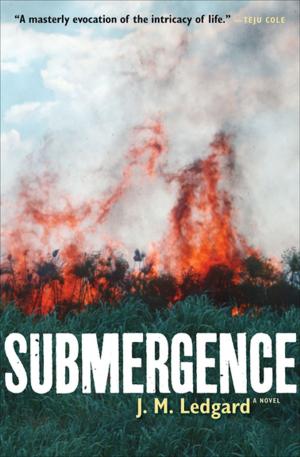 Cover of the book Submergence by Karen Tei Yamashita