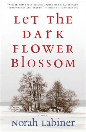 Cover of Let the Dark Flower Blossom