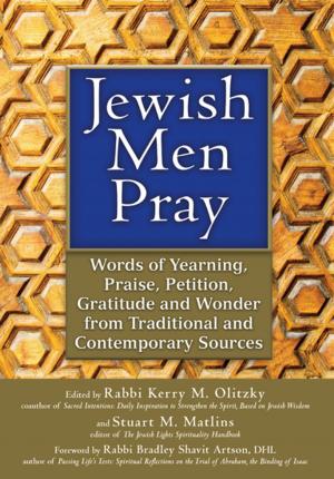 Book cover of Jewish Men Pray