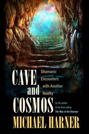 Cover of the book Cave and Cosmos by Melanie Dent