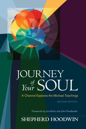 Cover of the book Journey of Your Soul by Darrin Drda