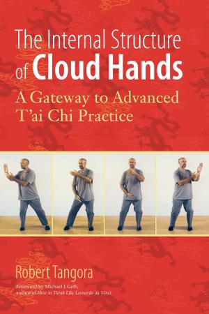 Cover of the book The Internal Structure of Cloud Hands by Elizabeth M. Carman, Neil J. Carman, Ph.D.