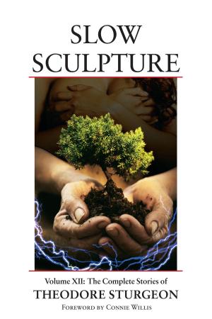 Cover of the book Slow Sculpture by Theodore Sturgeon