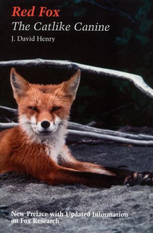 Cover of the book Red Fox by Donald R. Prothero
