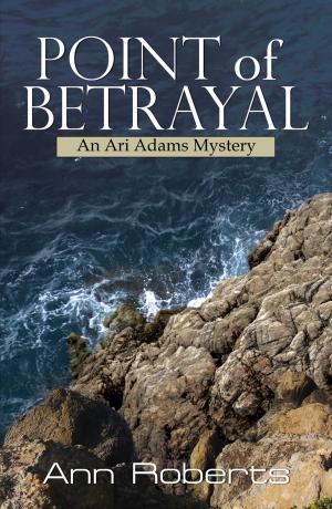 Cover of the book Point of Betrayal by Eva Indigo