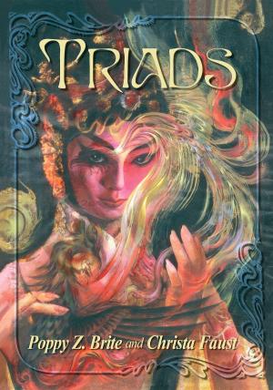Cover of the book Triads by Lewis Shiner