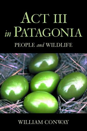 Cover of the book Act III in Patagonia by Aaron T. Wolf
