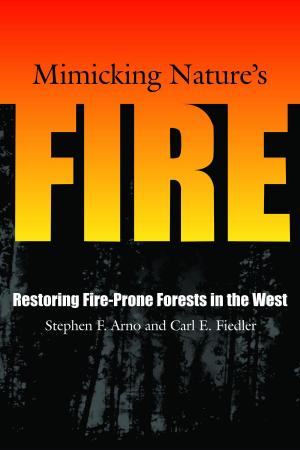 Cover of the book Mimicking Nature's Fire by National Association of City Transportation Officials